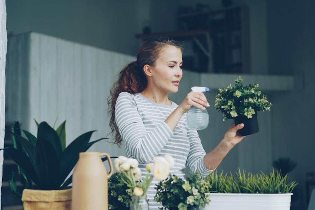 Your Houseplants on Autopilot: Simple Watering Reminders and Smart Sensors That Prevent “Oops, I Forgot”